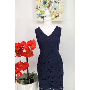 Banana Republic Womens  Dress 6 Navy Blue Lace Overlay Party Lined Sheath